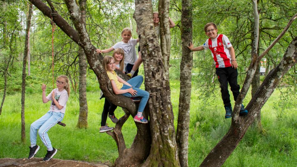 Fem barn ser mot fotografen. De er oppe i trærne i en grønn skog.